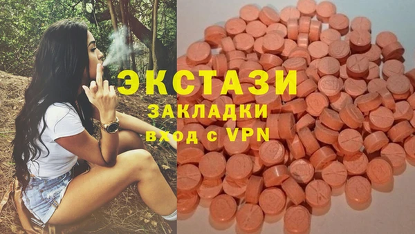 первитин Няндома