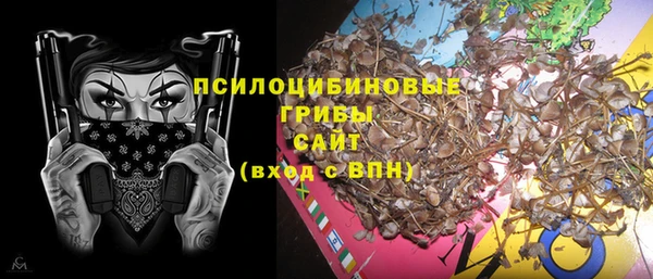 марки lsd Абаза