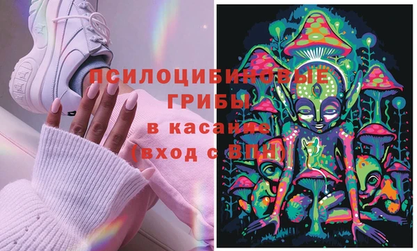 стафф Абинск