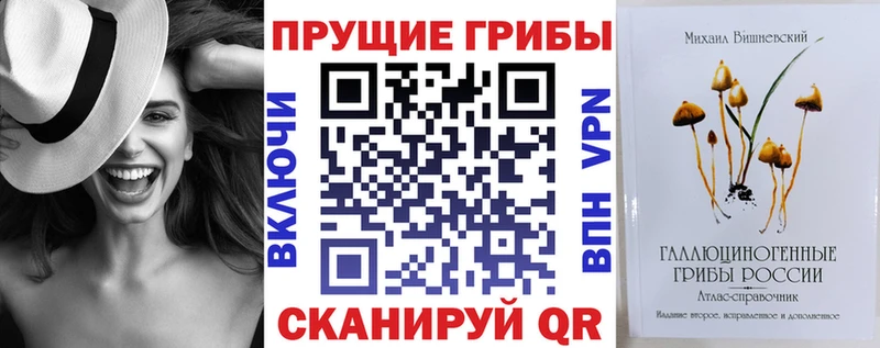 Псилоцибиновые грибы мицелий гидра ссылка Новотроицк как найти наркотики